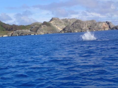 P9062874
