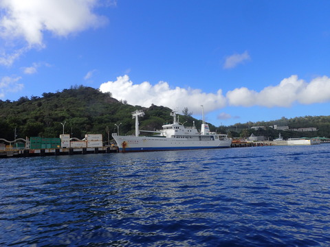 P9062878