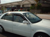 こんな車で