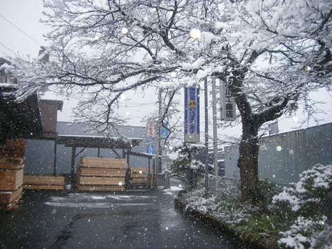DSCF0606