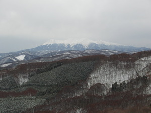 CIMG0135