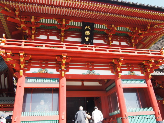 鎌倉 tsuruoka hachimangu 鶴岡八幡宮