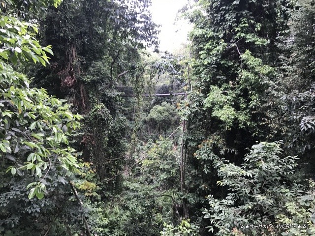 Mae Fah Luang Garden ¥·¡¼¥Ê¥«¥ê¥ó¡¡¥Á¥§¥ó¥é¥¤ (31)