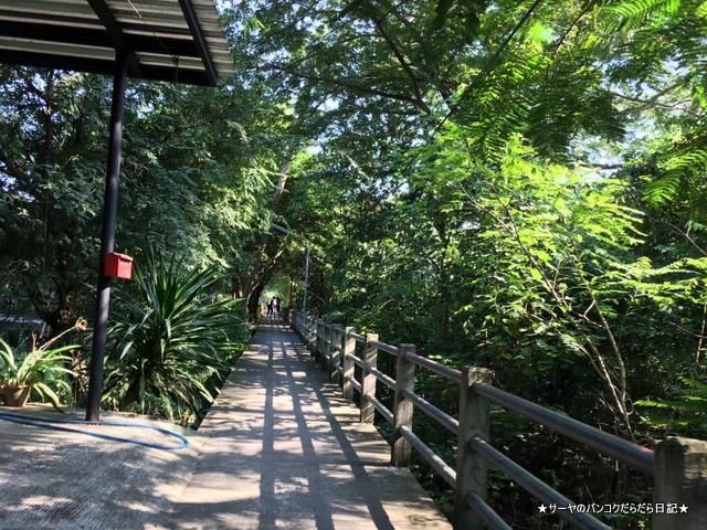 ¥Ð¥ó¥³¥¯¡¡ÇÙ¡¡¥µ¥¤¥¯¥ê¥ó¥° Bangkok Tree House (2)