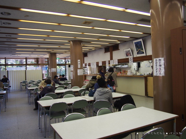 鎌倉 tsuruoka hachimangu 鶴岡八幡宮