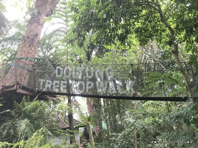 Mae Fah Luang Garden ¥·¡¼¥Ê¥«¥ê¥ó¡¡¥Á¥§¥ó¥é¥¤ (25)