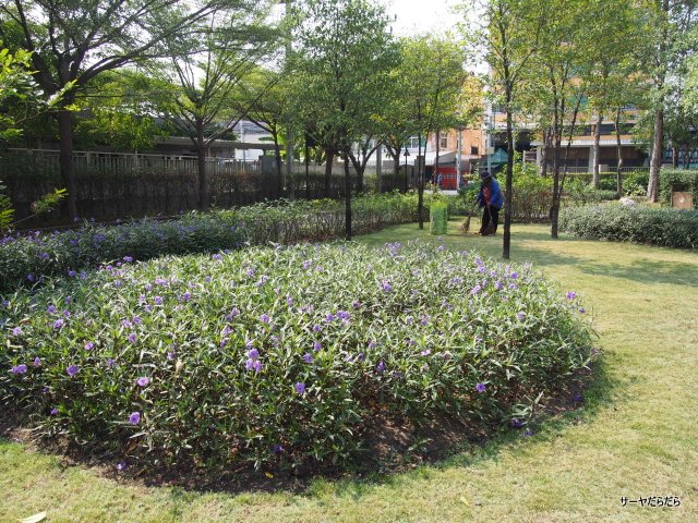 ラマ8世公園 RAMA 8 park バンコク