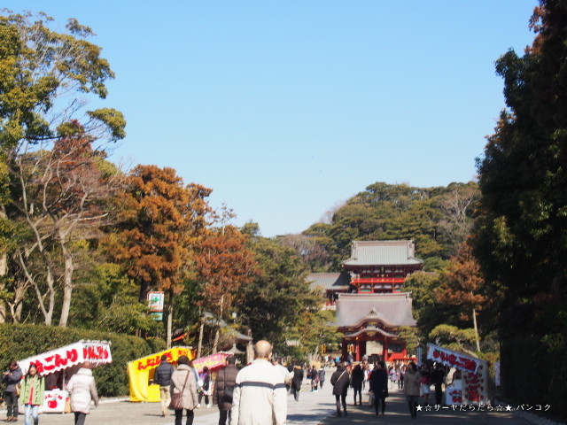 鎌倉 tsuruoka hachimangu 鶴岡八幡宮