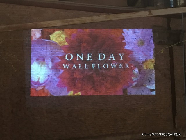 Oneday wallflowers rooftop chinatown new (9)