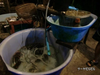 20110329 Naiyang Sea food 10