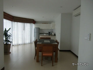 20110330 dewa 8