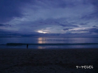 20110330 dewa 19