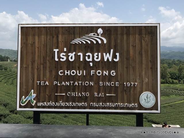 Choui Fong Tea 茶畑 チェンライ (1)