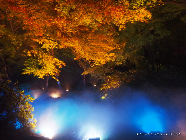 六義園 駒込 ライトアップ 東京 紅葉