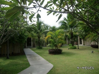 20110330 dewa 5