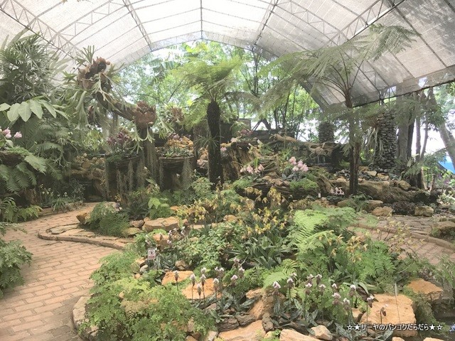 Mae Fah Luang Garden ¥·¡¼¥Ê¥«¥ê¥ó¡¡¥Á¥§¥ó¥é¥¤ (20)