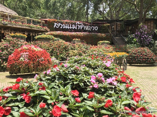 Mae Fah Luang Garden ¥·¡¼¥Ê¥«¥ê¥ó¡¡¥Á¥§¥ó¥é¥¤ (15)