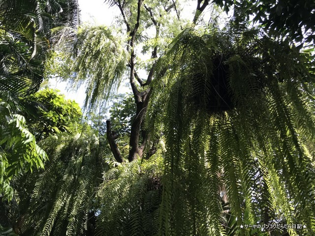 花文化の博物館 The Museum of Floral Culture (9)