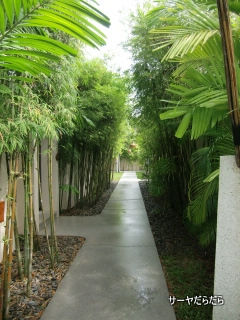 20110330 dewa 6