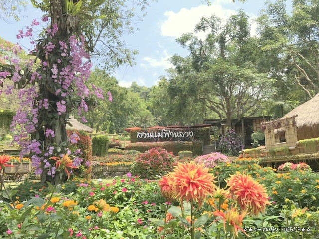 Mae Fah Luang Garden ¥·¡¼¥Ê¥«¥ê¥ó¡¡¥Á¥§¥ó¥é¥¤ (13)