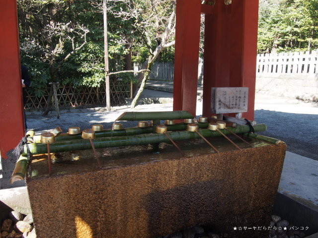 鎌倉 tsuruoka hachimangu 鶴岡八幡宮