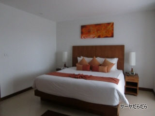 20110330 dewa 9