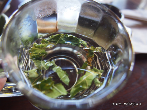 アムリタガーデン Amrita Garden チェンマイ