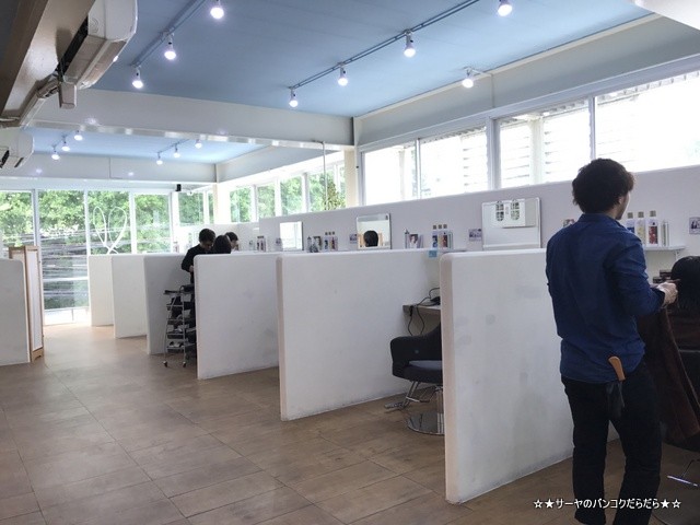 HIFU ハイフ Rapi-rabi Hair Coloring (5)