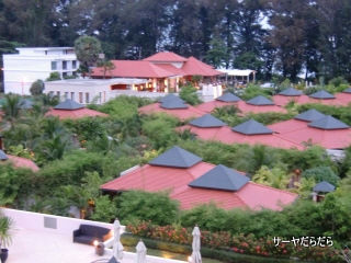 20110330 dewa 18
