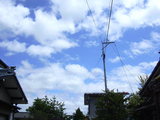 988bd8fc.jpg