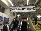 ギョーザ1