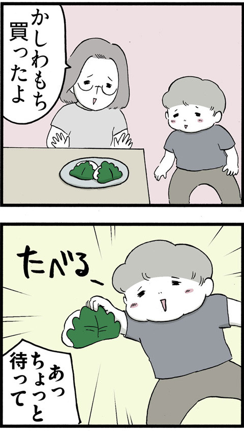 288かしわもち_01
