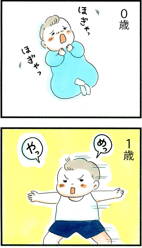 736拒否の系譜_01