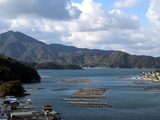 蕨湾