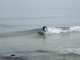 IMG_5903 のコピ