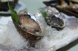 DSC01065 のコピ