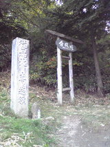 122efa2a.jpg
