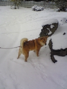 100206_130201_ed
