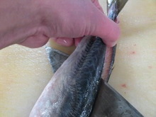 3b7a95c8.jpg