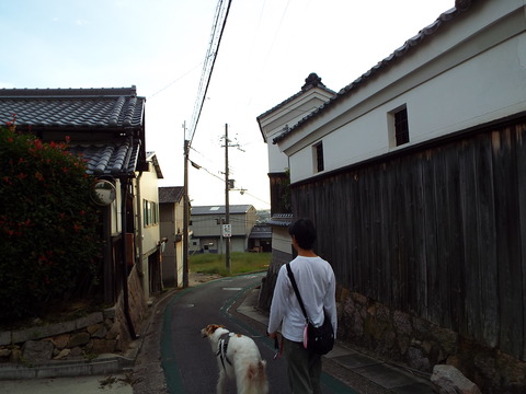 DSCF2629