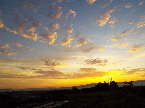 DSCF2593