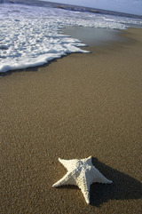 summer2011