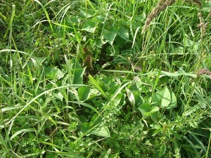 CIMG0338