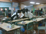 IMG00203-20091114-1106
