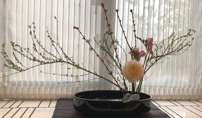 IMG_0581