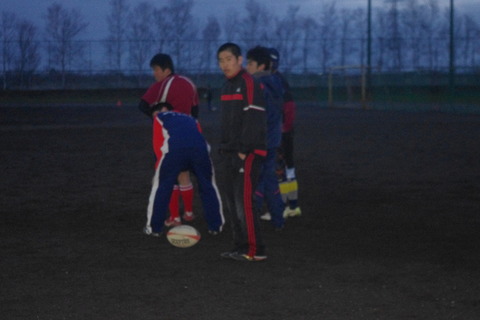 IMGP2961