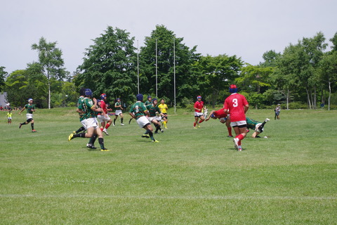 IMGP4482