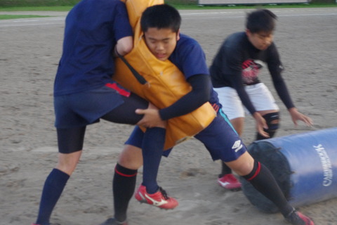 IMGP3907
