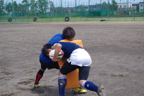 IMGP8176