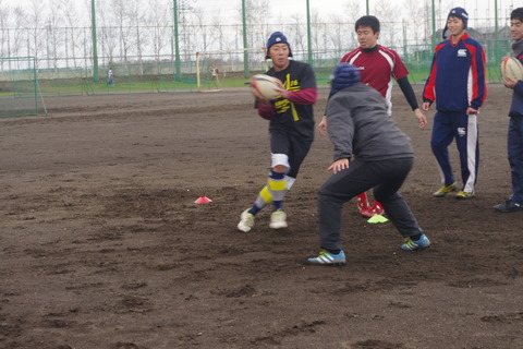 IMGP2953